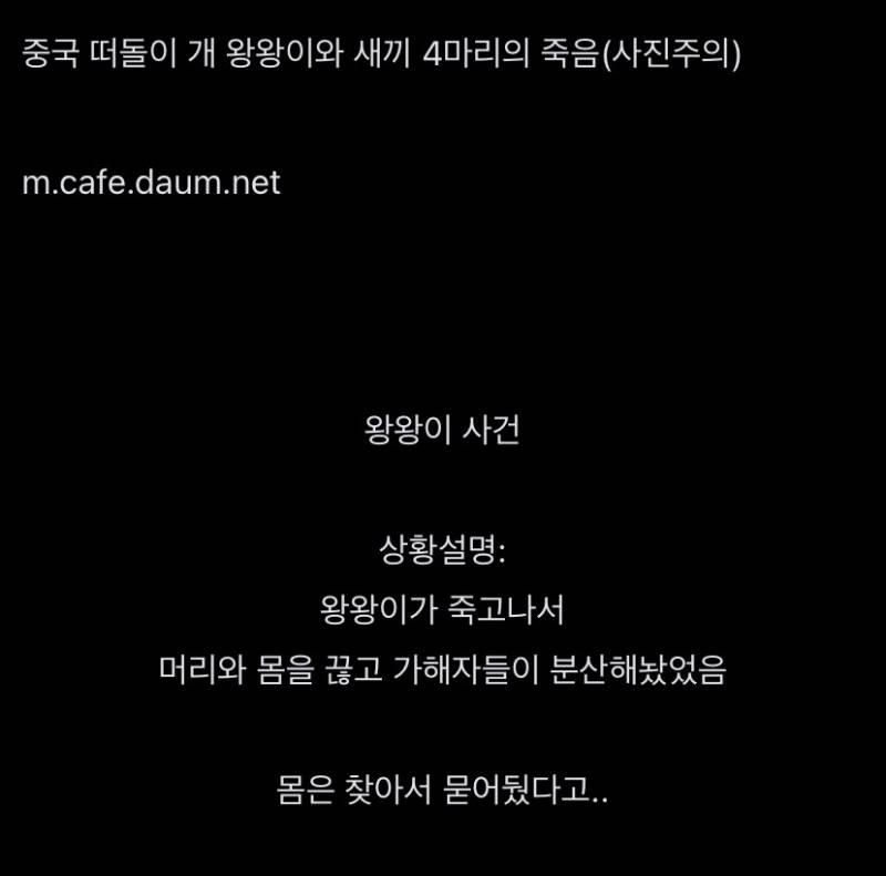 [잡담] 이 글 보고 중국인이라는데 니들 생각은 어떰? | 인스티즈