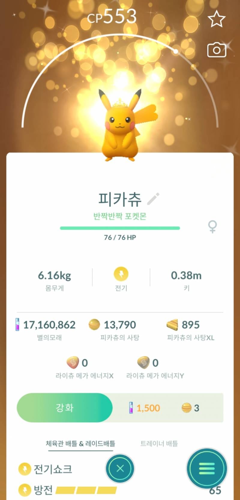 [잡담] 내 피카츄 배경땜시 왕관쓴거 티도 안남 | 인스티즈