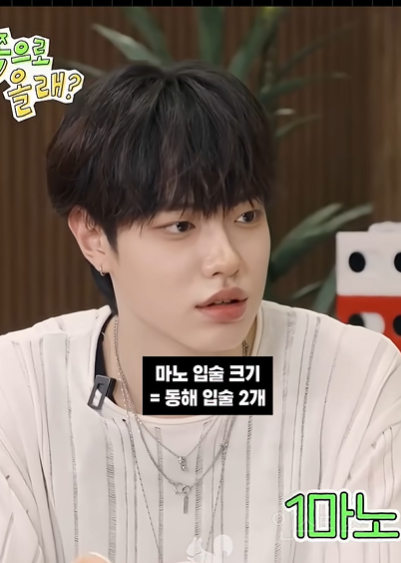 입술 너무 도톰해서 자로 재봄 ㅋㅋㅋㅋㅋㅋ | 인스티즈