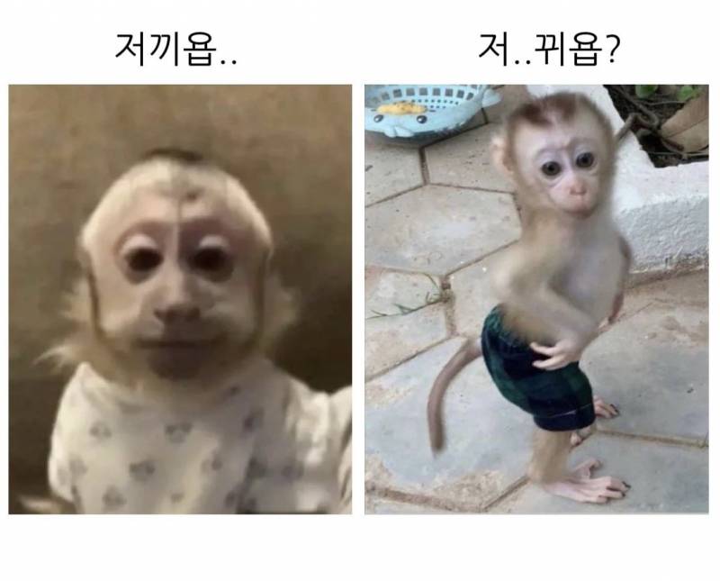 [잡담] 이거 끼끼다 | 인스티즈