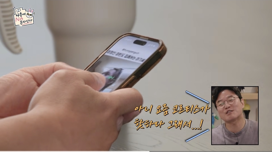 [잡담] 나피디 요즘 코르티스 쇼츠보면서 공부한대ㅋㅋㅋㅋㅋ | 인스티즈