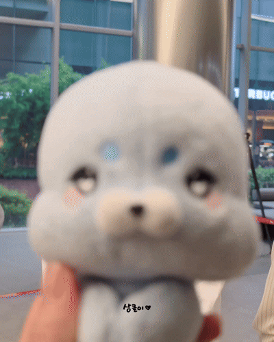 [잡담] 미나미 이거 너무 귀욥당.... | 인스티즈