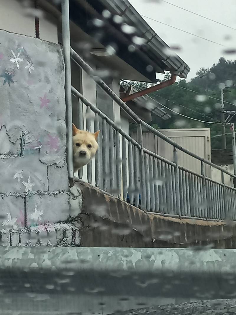 [잡담] 주차했는데 자꾸 쳐다봐... | 인스티즈
