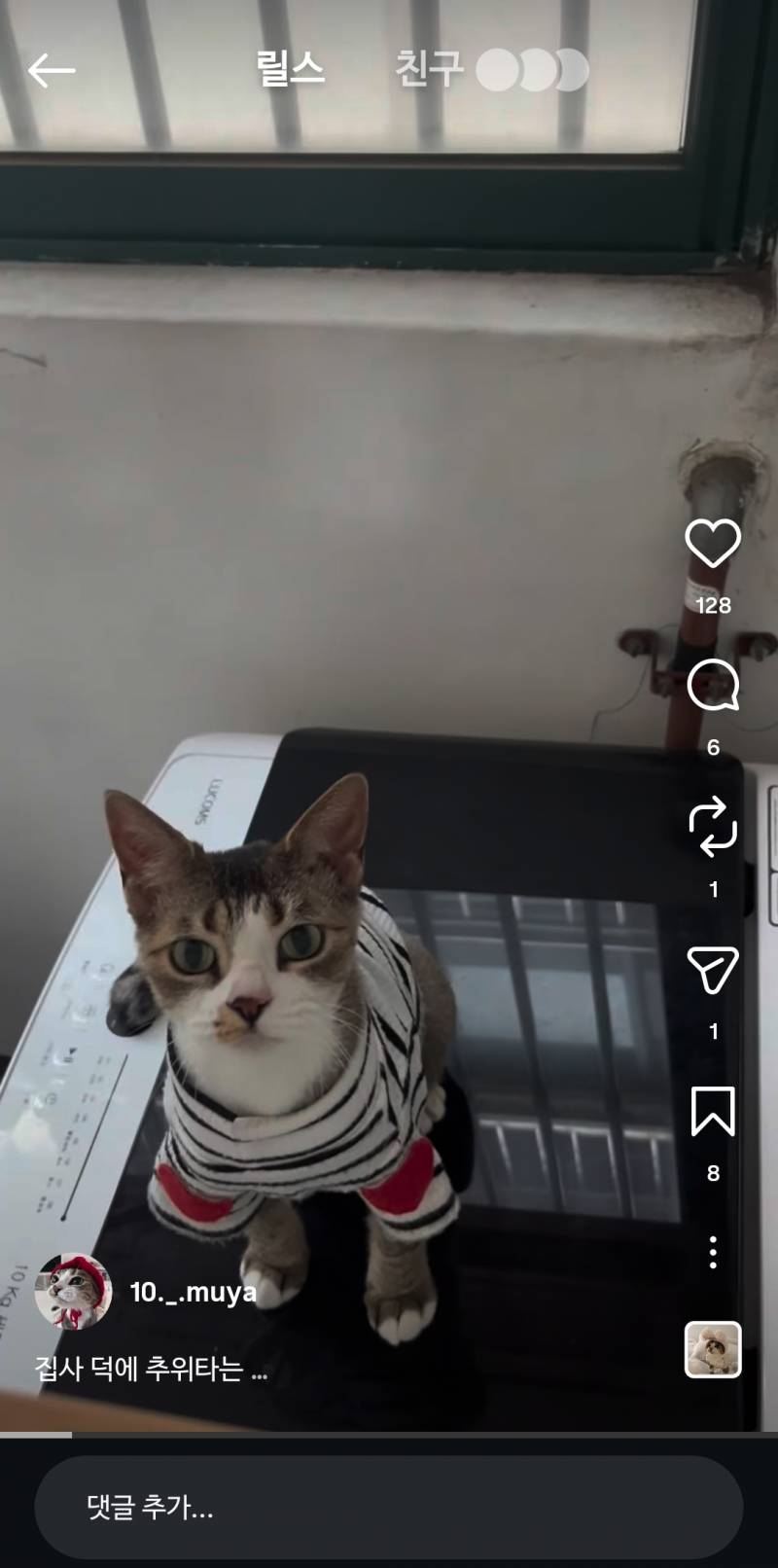 [잡담] 얘진짜 인스타고양이중에서 젤귀여워... | 인스티즈
