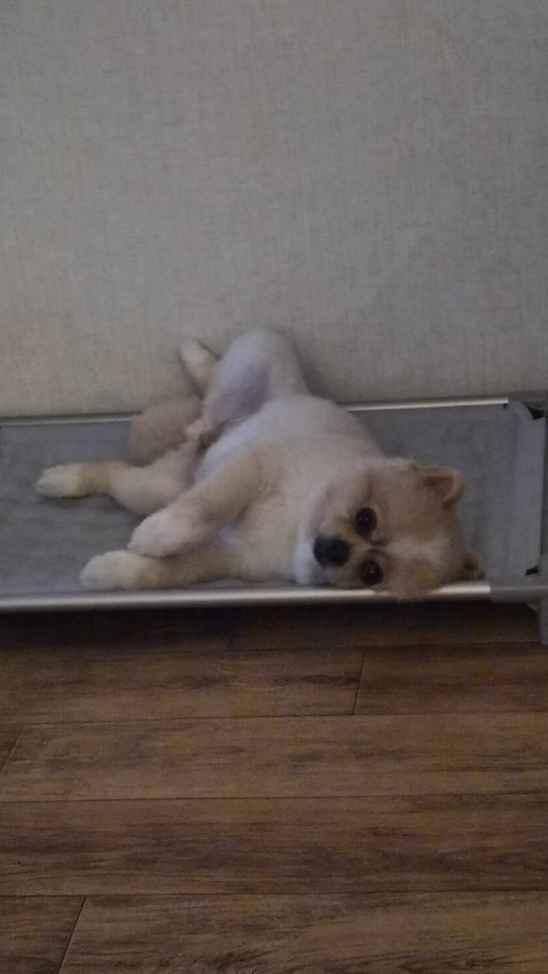 [잡담] 얘 쳐다보는 거 봐 | 인스티즈