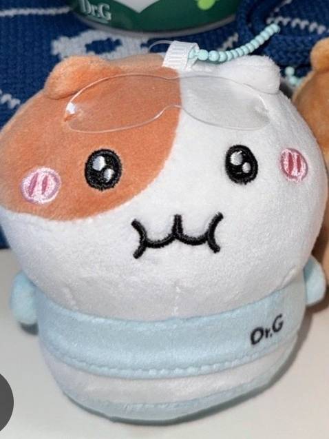 [잡담] 울집 냥이 인형 박살낸거 볼사람 | 인스티즈