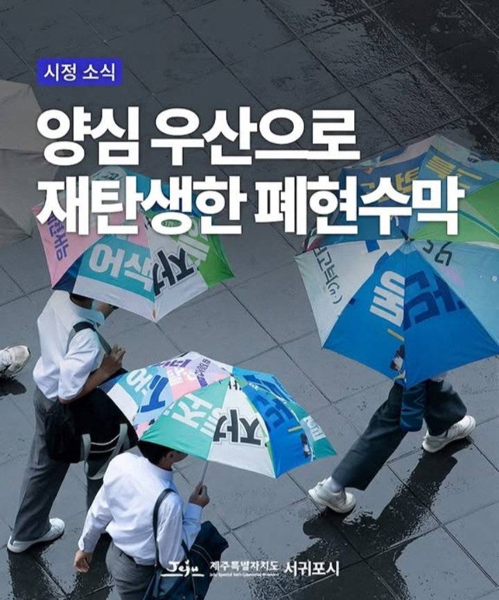 [잡담] 재활용 우산 너무 좋은거 같아 | 인스티즈