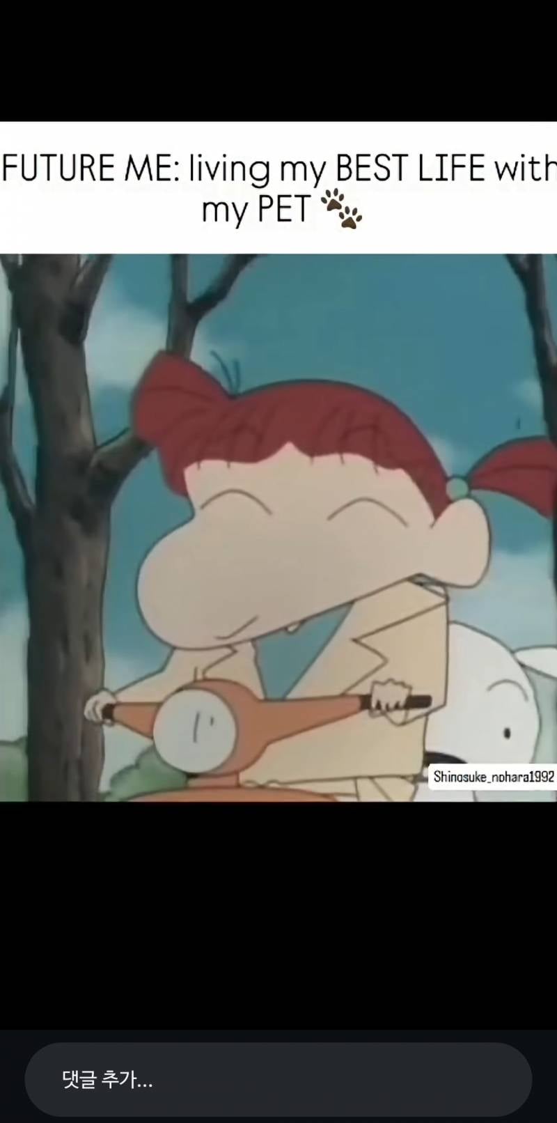 [잡담] 유리 흰둥이 같이잇는거 왜케귀엽냐 | 인스티즈