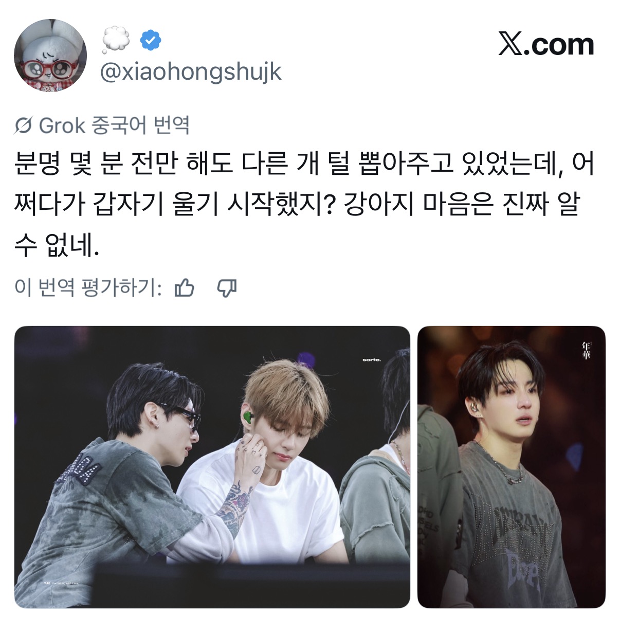 [잡담] 정국 이트윗 왤케 귀엽냐ㅋㅋㅋㅋㅋㅋㅋㅋ | 인스티즈