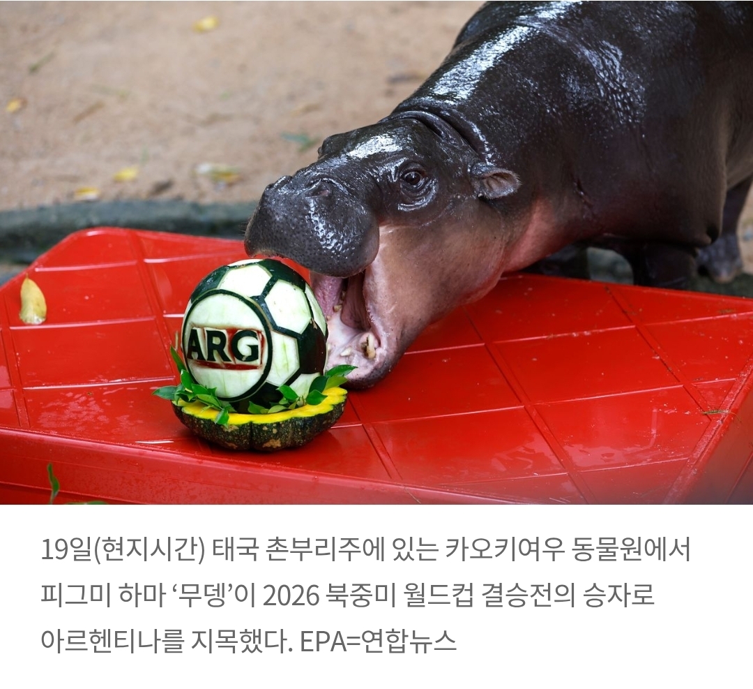 [잡담] 북중미 월드컵 아르헨티나가 우승확정이네 | 인스티즈