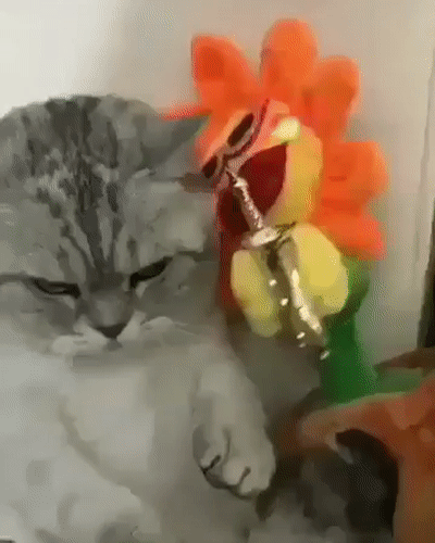 [잡담] 이거 신유 지훈 | 인스티즈