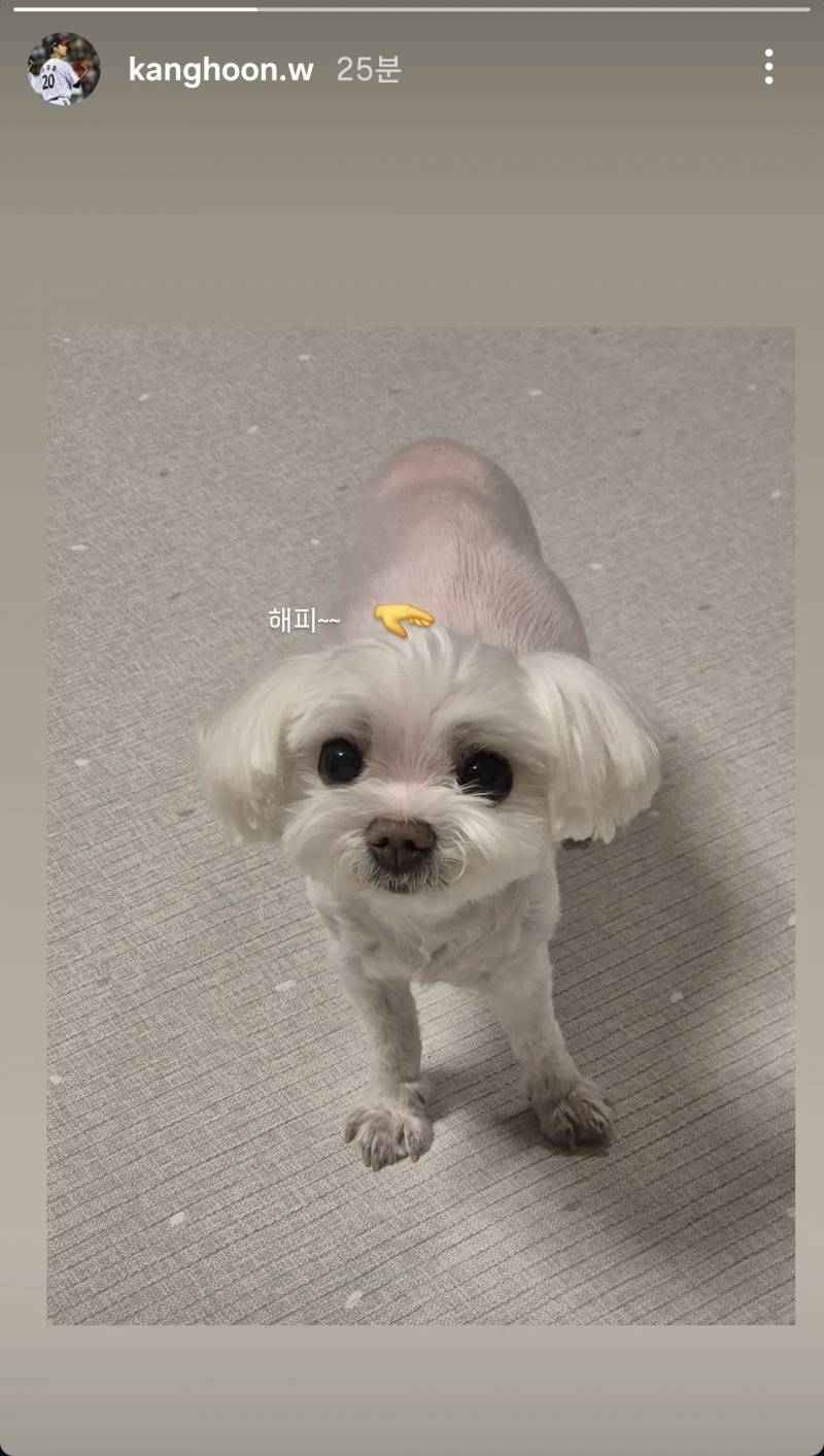 [잡담] 다들 강훈이 해피 보고 가 | 인스티즈