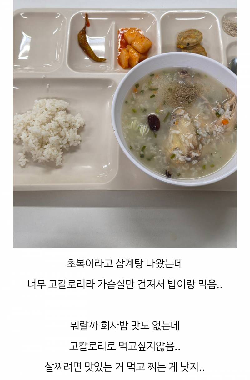 [잡담] 아 작년에 다이어트 할때 블로그 보는데 웃기다 | 인스티즈