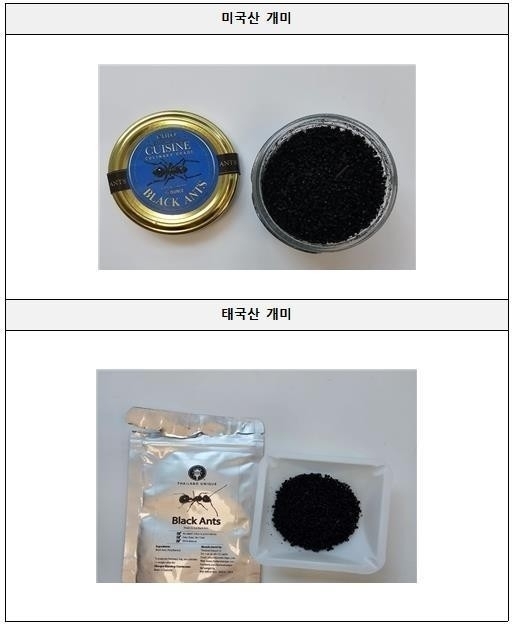 [정보/소식] [속보] 요리에 식용 불가 '개미 토핑'•••미슐랭2스타 레스토랑 대표 '징역 1년' 구형 | 인스티즈