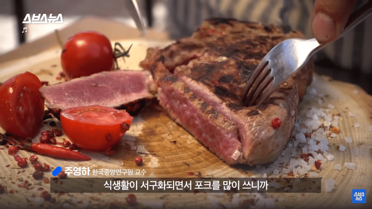 [정리글] 올바른 젓가락질은 정말 올바른 젓가락질일까? | 인스티즈