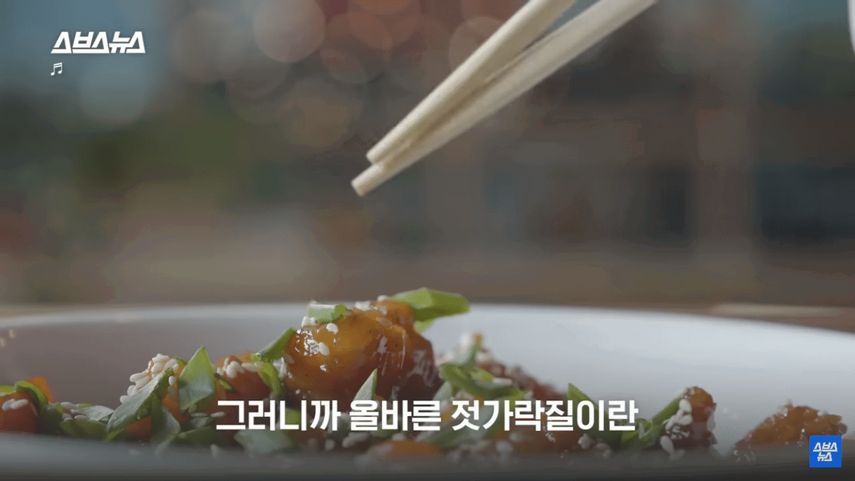 [정리글] 올바른 젓가락질은 정말 올바른 젓가락질일까? | 인스티즈