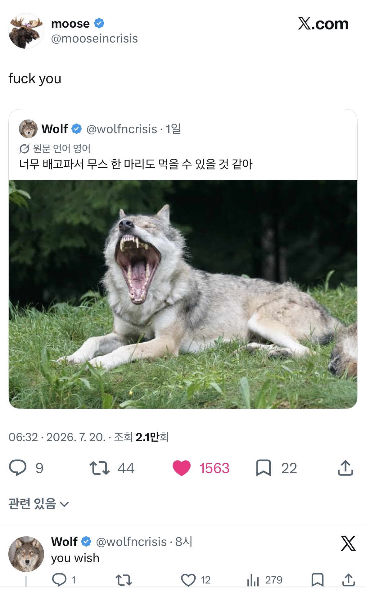 [잡담] 이런거 보고 언제 안 웃지ㅋㅋㅋㅋ | 인스티즈