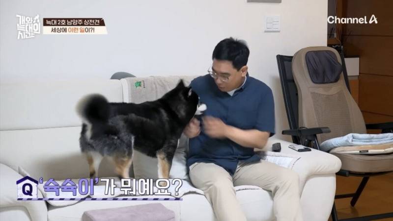 (충격주의) 강형욱도 경악한 강아지 해피타임..JPG | 인스티즈