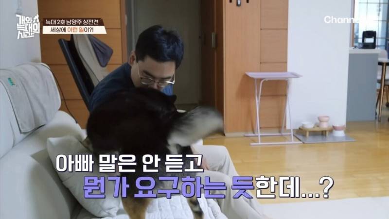 (충격주의) 강형욱도 경악한 강아지 해피타임..JPG | 인스티즈