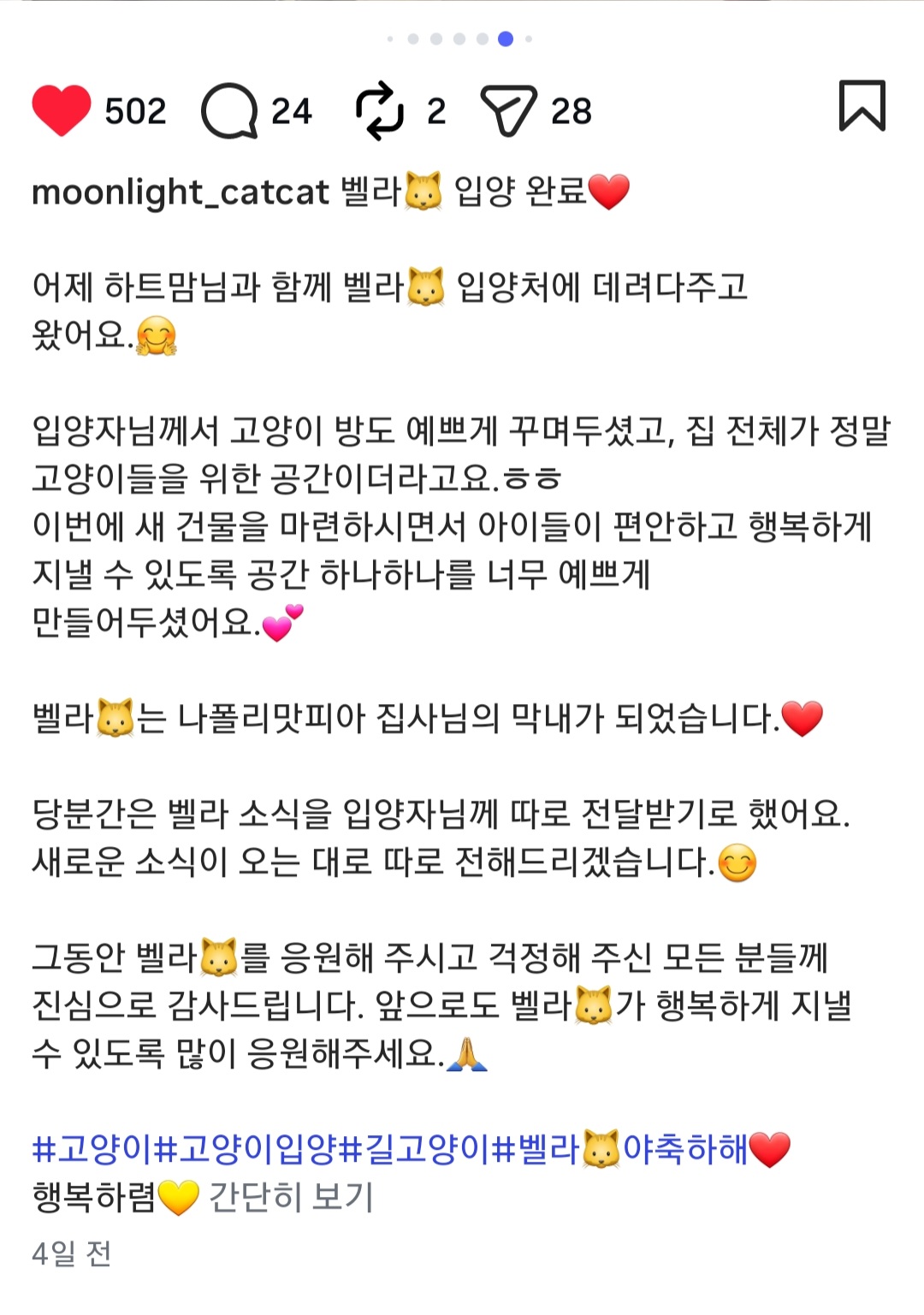 [잡담] 나폴리맛피아 셰프 유기묘 고양이 또 입양하셨네 | 인스티즈