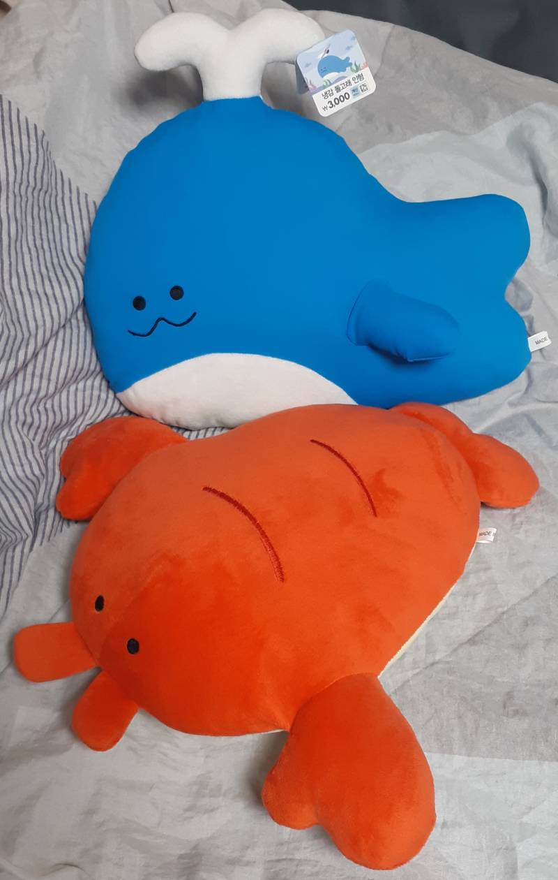 [잡담] 다이소에서 돌고래 인형 데려옴🐳 | 인스티즈
