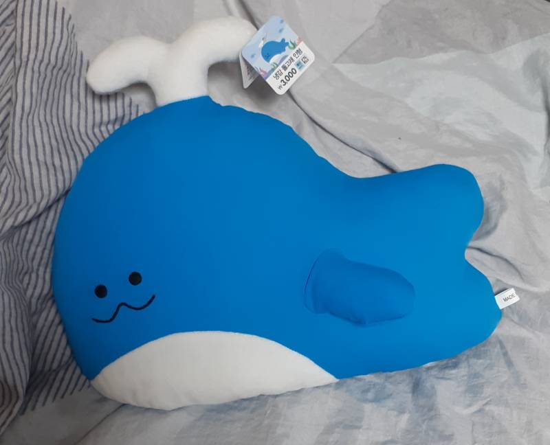[잡담] 다이소에서 돌고래 인형 데려옴🐳 | 인스티즈