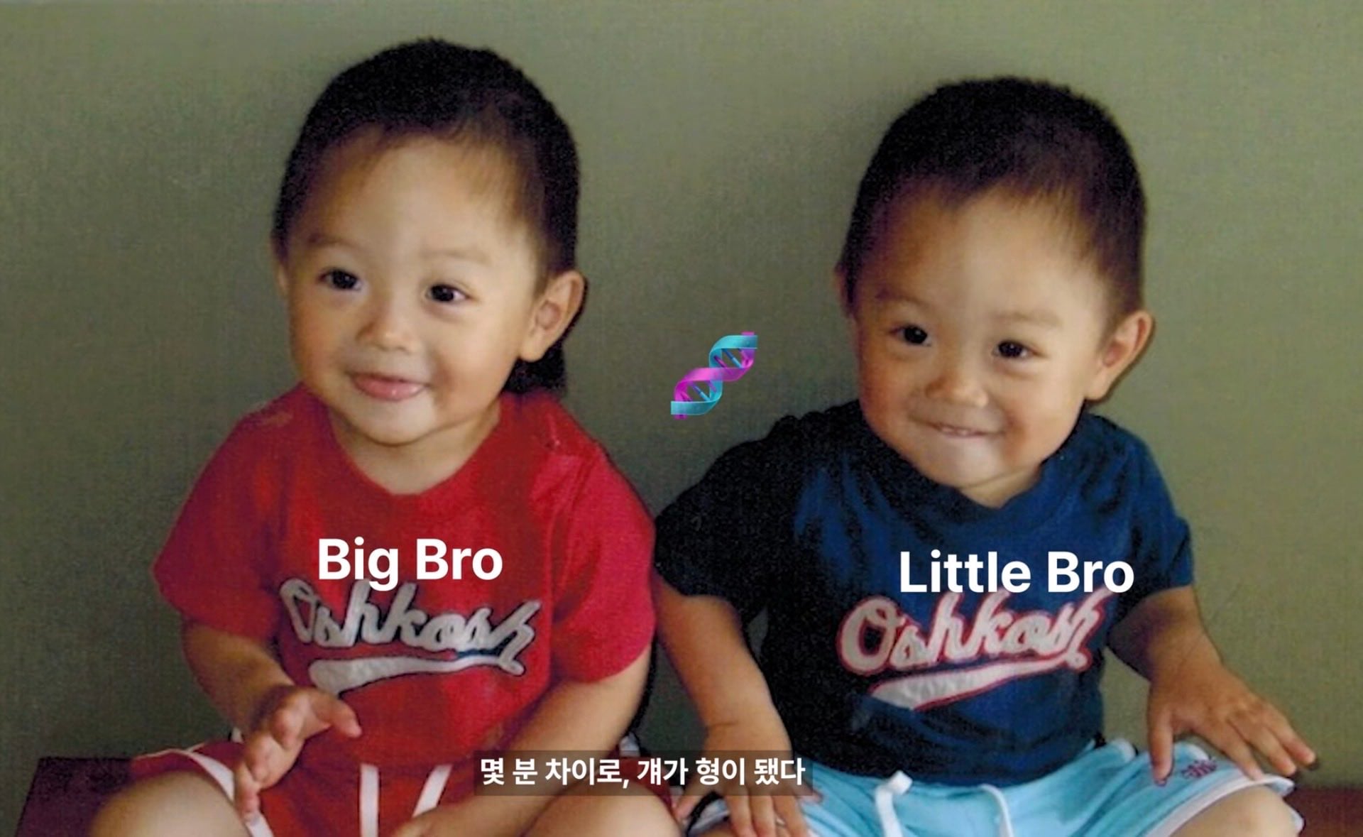 [잡담] 죽어도아이돌 쌍둥이글 졸귀닼ㅋㅋㅋㅋㅋ | 인스티즈