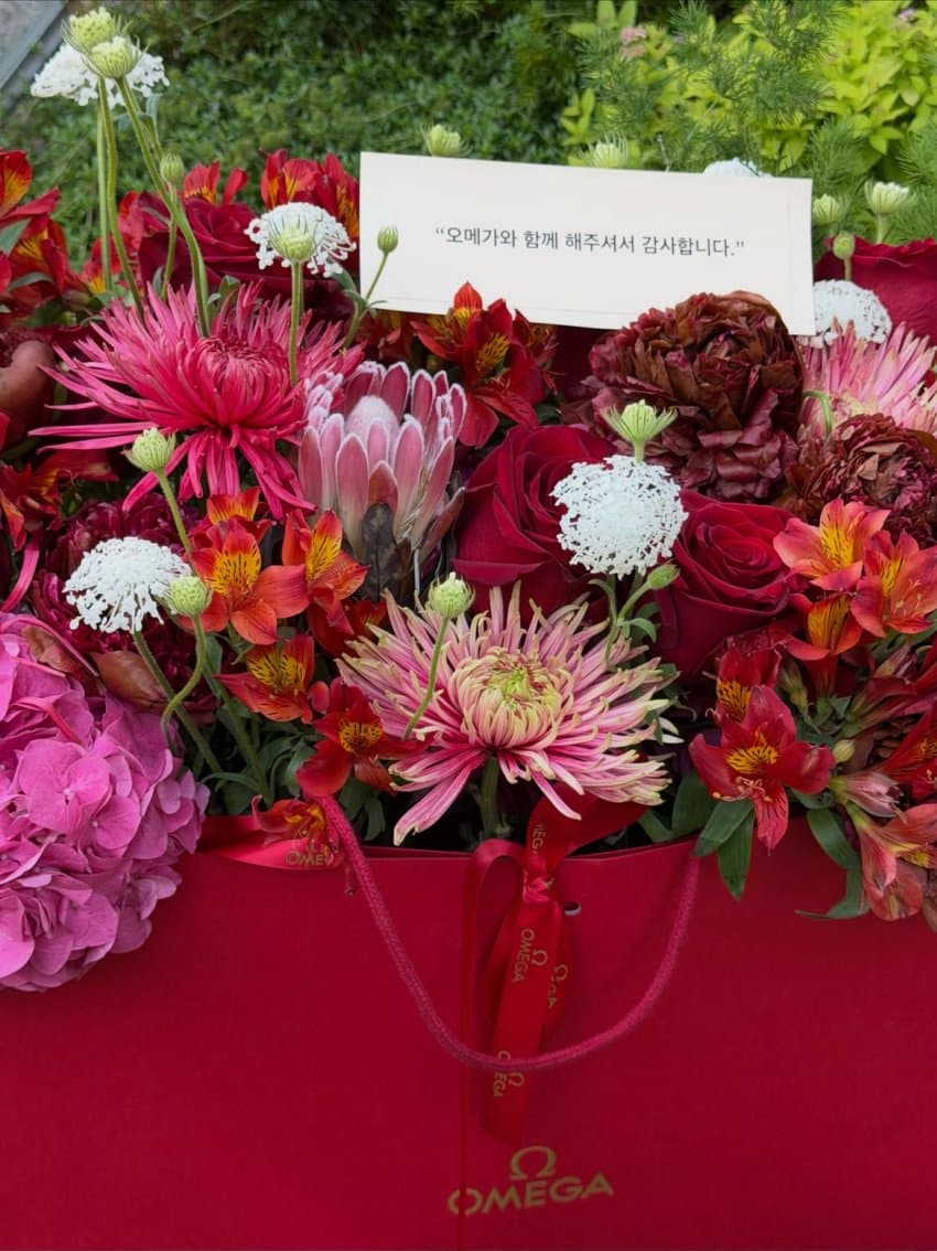 [잡담] 박보검 인스타에 오메가 올라왔는데 | 인스티즈