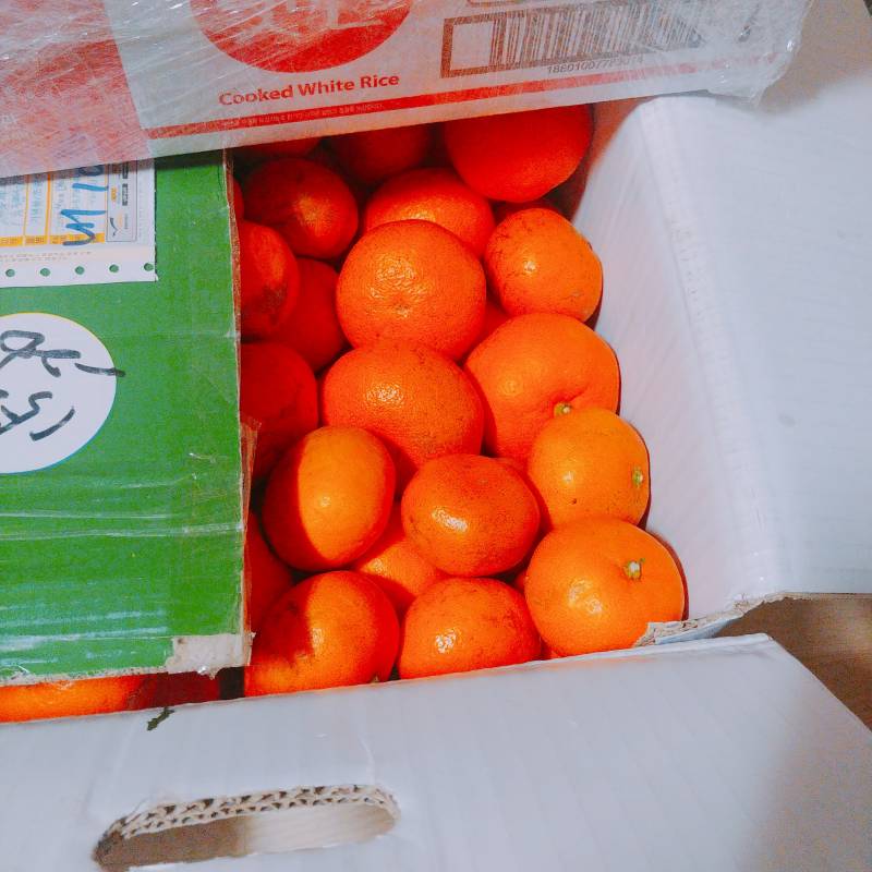 [잡담] 내 친구 나 먹을 거 챙기는 데에 진심임ㅋㅋㅋ | 인스티즈