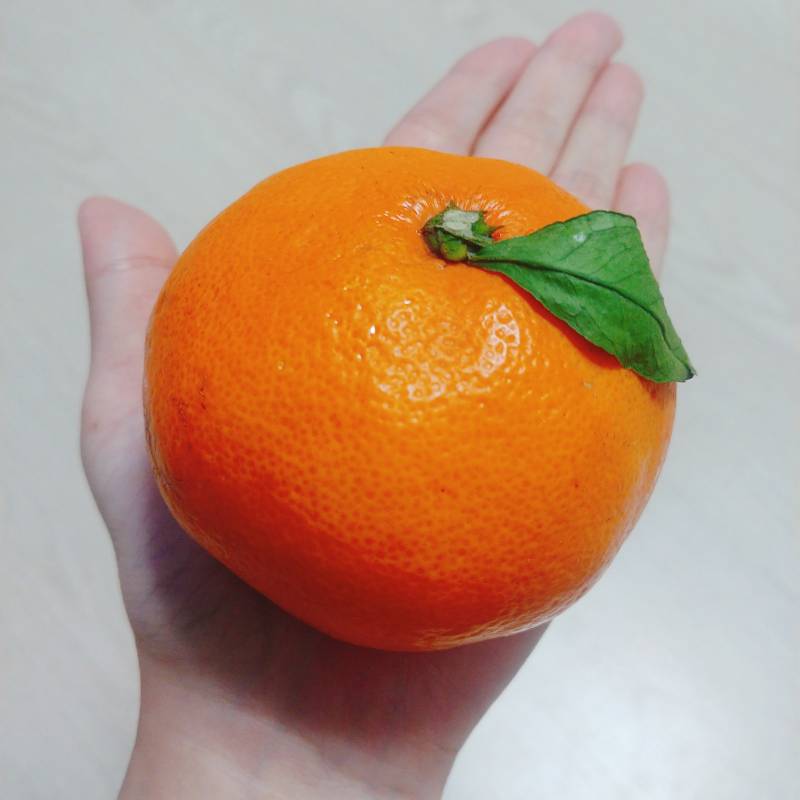 [잡담] 내 친구 나 먹을 거 챙기는 데에 진심임ㅋㅋㅋ | 인스티즈