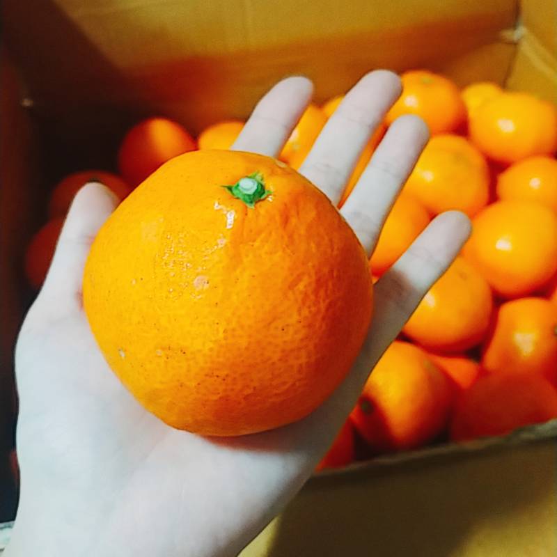 [잡담] 내 친구 나 먹을 거 챙기는 데에 진심임ㅋㅋㅋ | 인스티즈