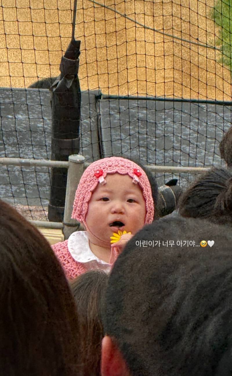 [잡담] 꿀떡공쥬 볼 사람 | 인스티즈