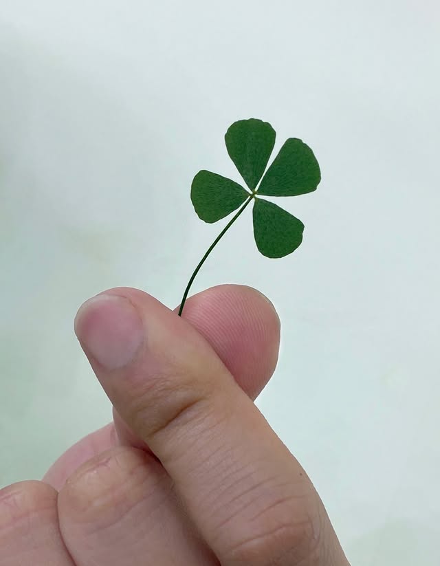 [잡담] 영케이가 너무 좋은데 어떡하지 🥹 | 인스티즈