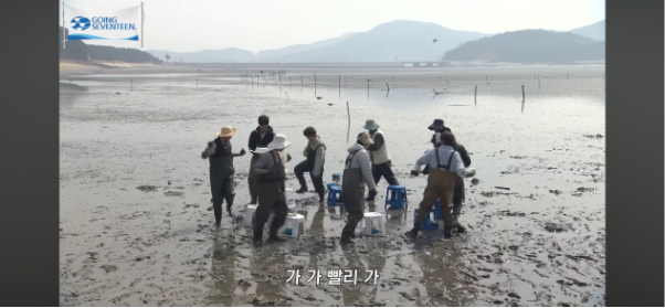 [잡담] 아이돌 자컨중엔 세븐틴이 젤 재밌는거 같앵 | 인스티즈