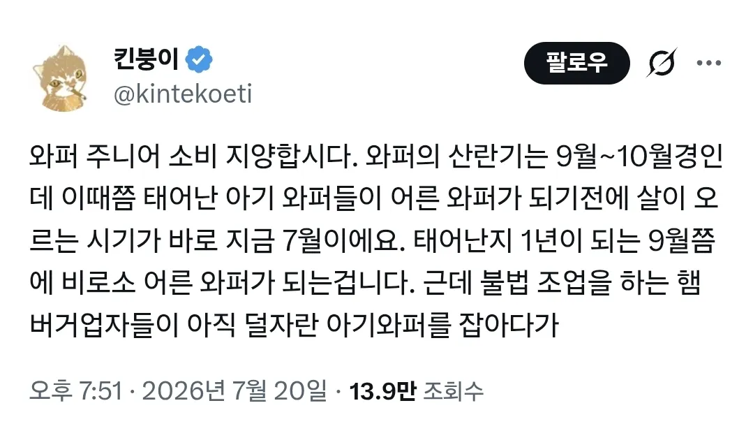 지금 주니어와퍼 먹으면 안되는 이유 | 인스티즈