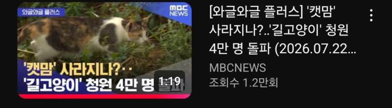 [잡담] 길고양이 급식 반대 청원에 맞불 청원하는 캣맘들 참 웃김 | 인스티즈