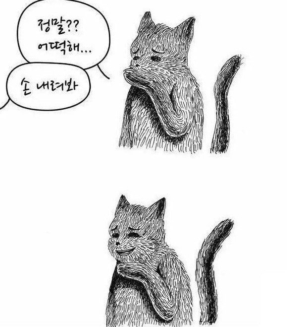 [잡담] 오세훈 어떡해... 속보뜬거 진짜야? | 인스티즈