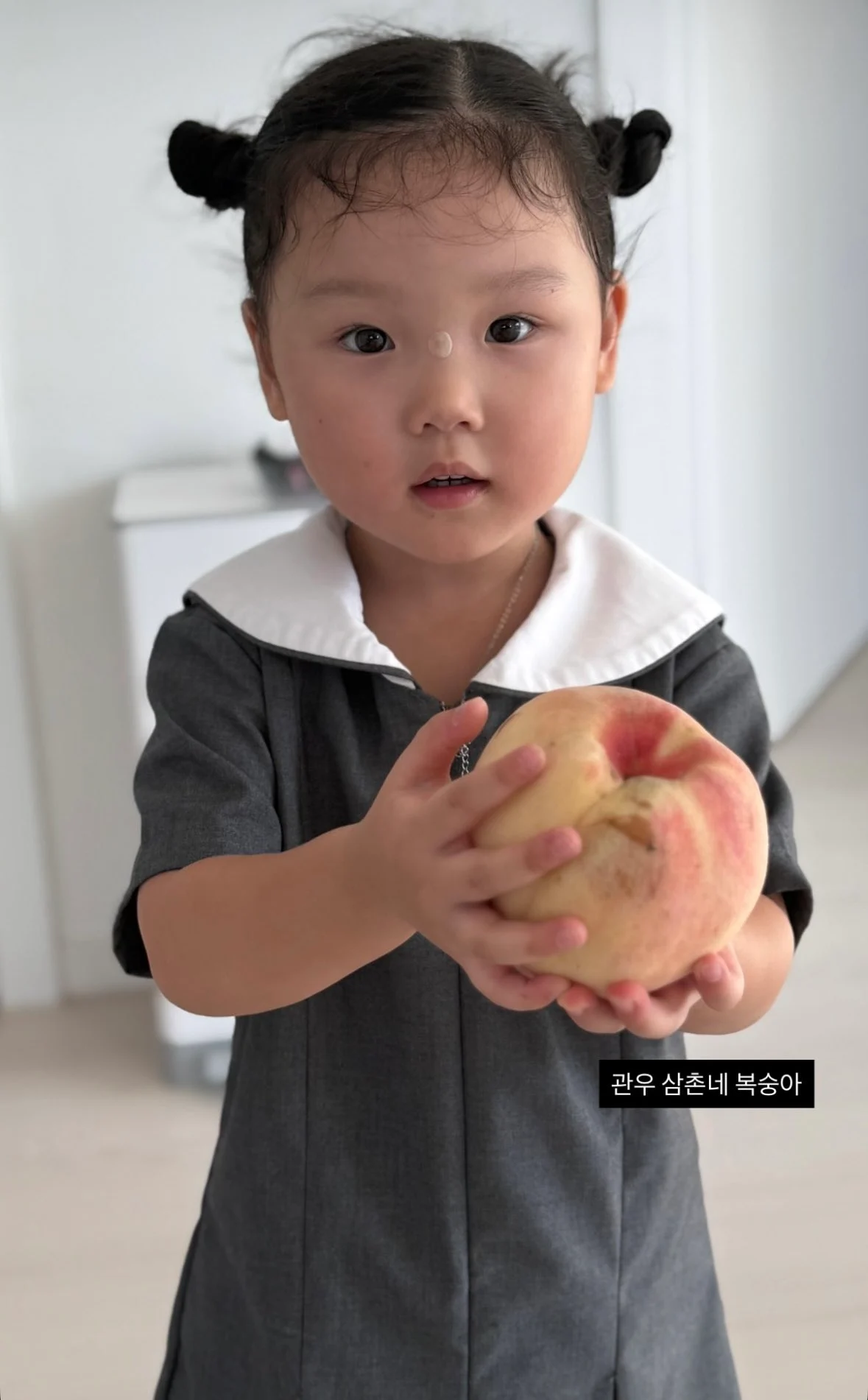 [잡담] 채이 요거 작년 사진인가?? | 인스티즈