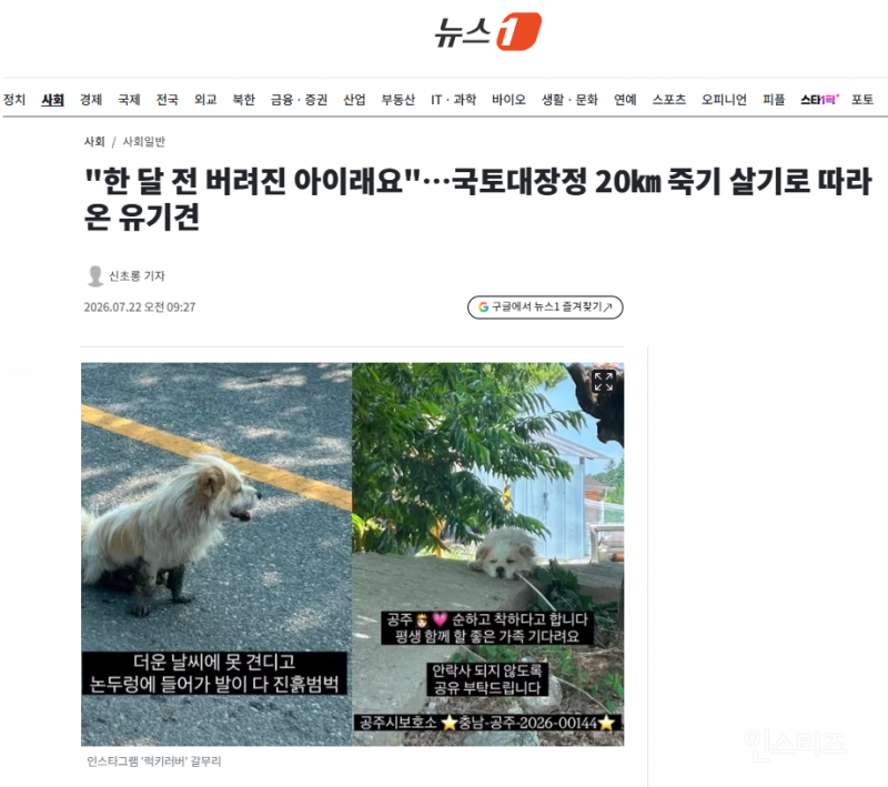 "한 달 전 버려진 아이래요"…국토대장정 20㎞ 죽기 살기로 따라온 유기견 | 인스티즈