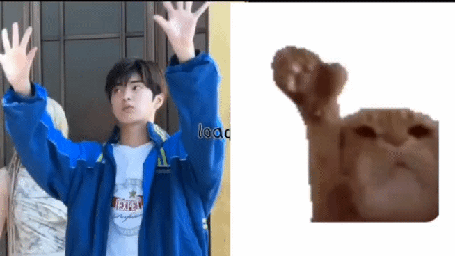 [잡담] 내 안건호가 꾹꾹이 좋아하는 새끼고양이여따니... | 인스티즈