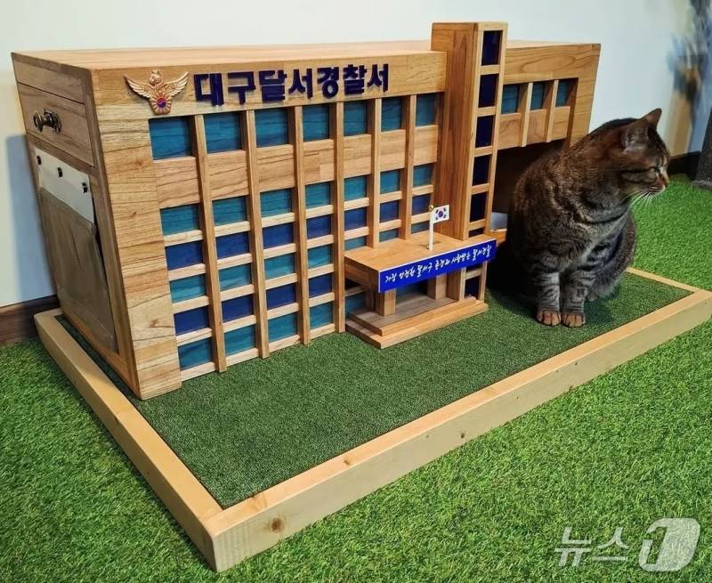 [잡담] 대구 경찰서에서 키우는 고양이래 이름 돼지 | 인스티즈