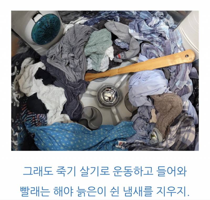 [잡담] 와 할아버지 블로거분 귀여우시다 | 인스티즈
