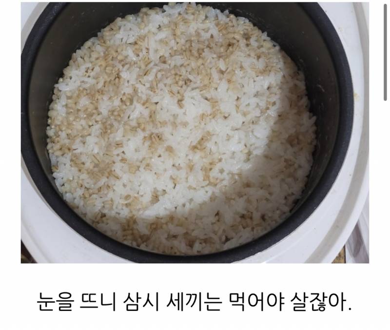 [잡담] 와 할아버지 블로거분 귀여우시다 | 인스티즈