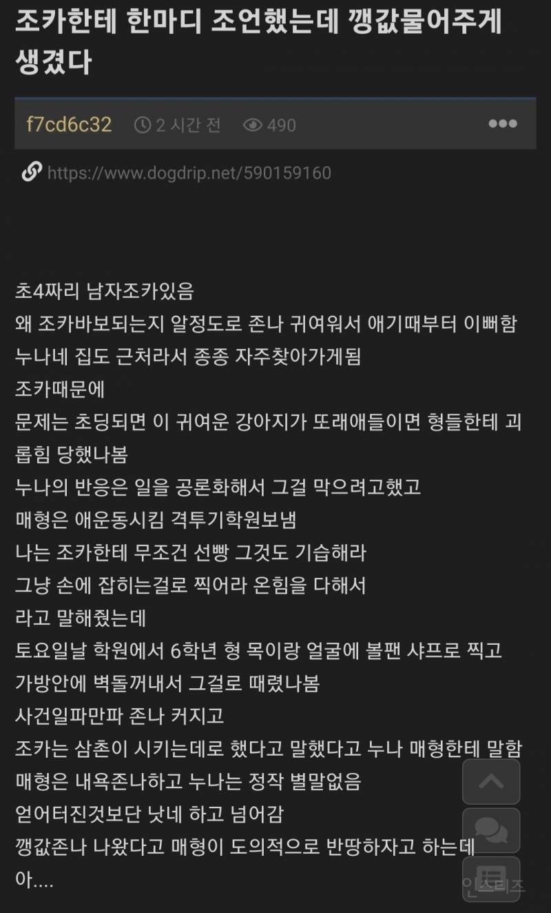조카한테 한마디 조언했는데 깽값 물어주게 생겼다 | 인스티즈
