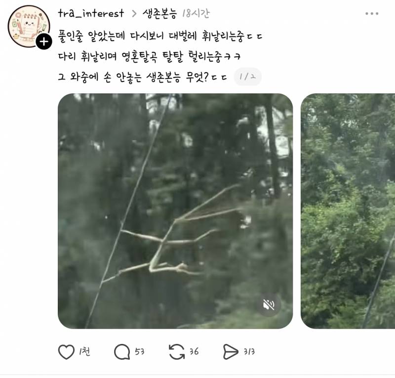 [잡담] 벌레가 안 징그러운거 첨이야.. | 인스티즈