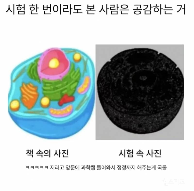 학교 시험 한 번이라도 본 사람은 공감하는거. jpg | 인스티즈