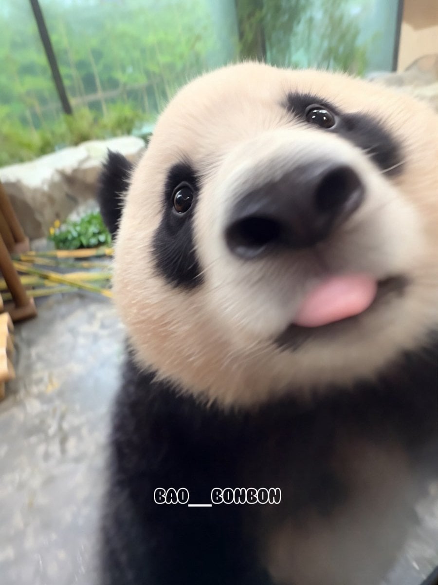 [잡담] 후이바보 | 인스티즈