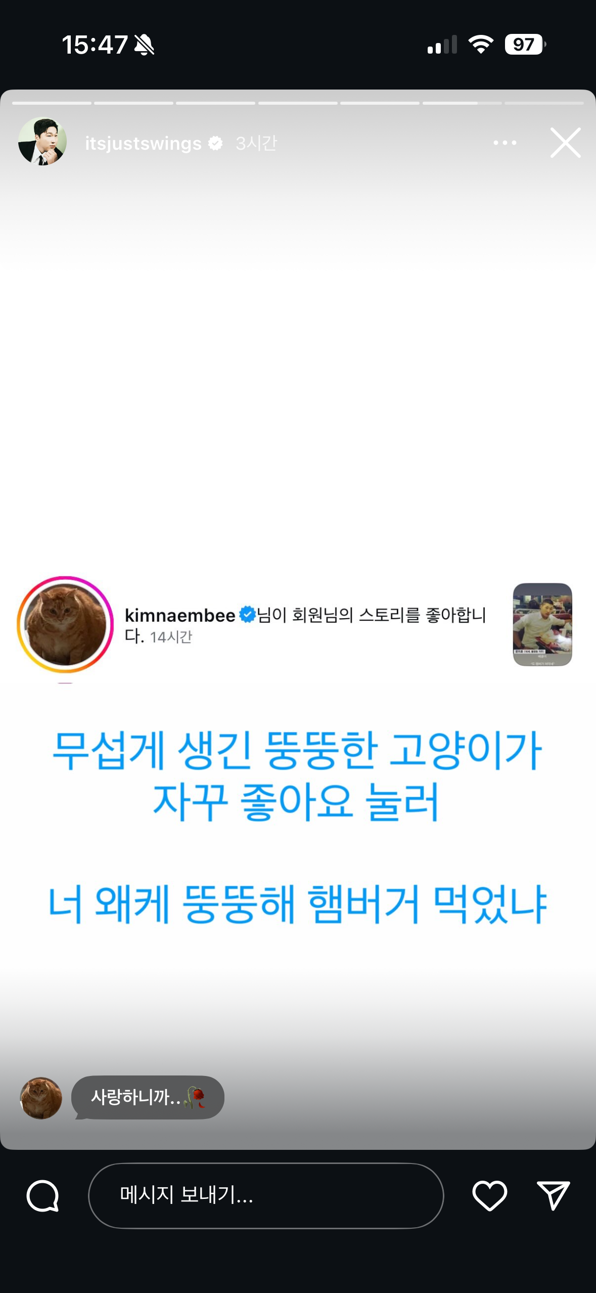 [잡담] 아니 스윙스 인스스에 냄비 뭐야ㅋㅋㅋㅋ | 인스티즈