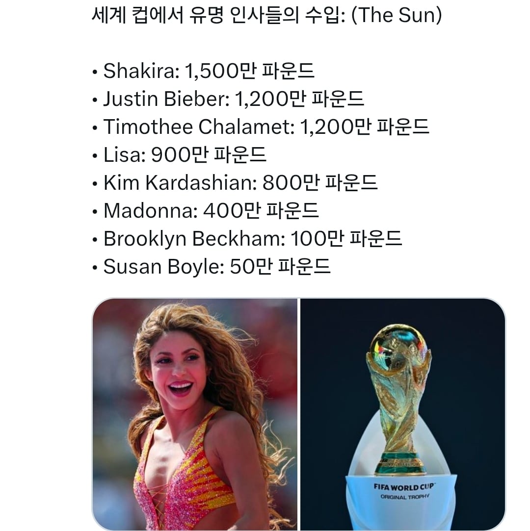 [정보/소식] 월드컵 공연 가수 수익 순위 Top8 | 인스티즈