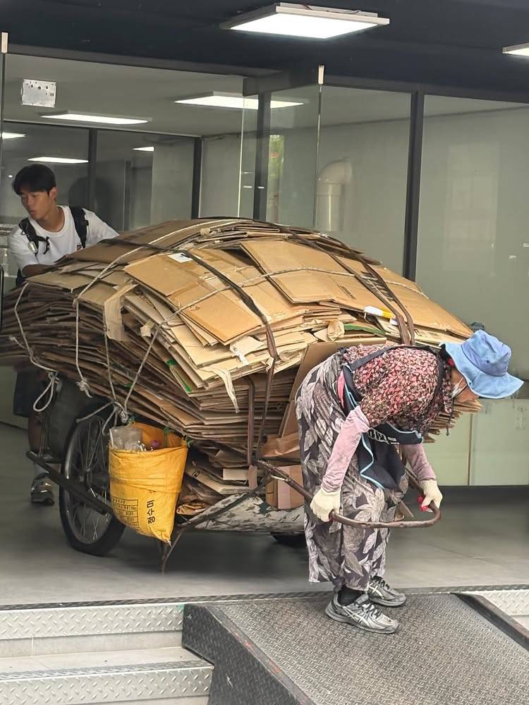 [잡담] 롯데 이 선수분 처음 보는데 따땃하다… | 인스티즈